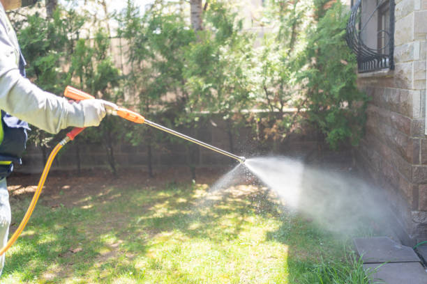 Best Affordable Pest Control Services  in Stanford, CA