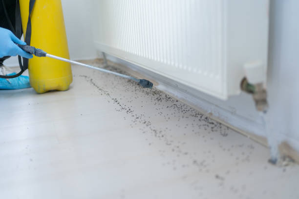 Best Pest Prevention Services  in Stanford, CA