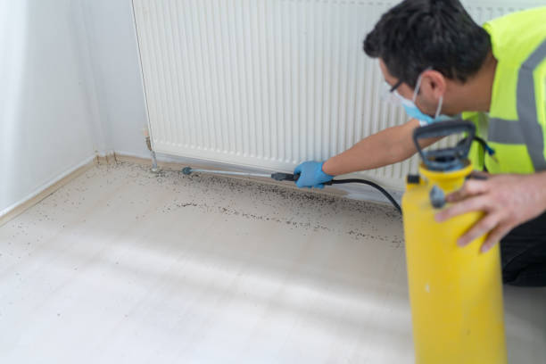 Best Cockroach Control Services  in Stanford, CA