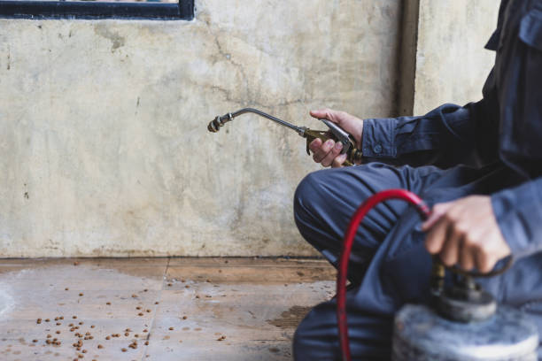 Best Local Pest Control Services  in Stanford, CA